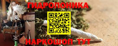 крисы Заводоуковск