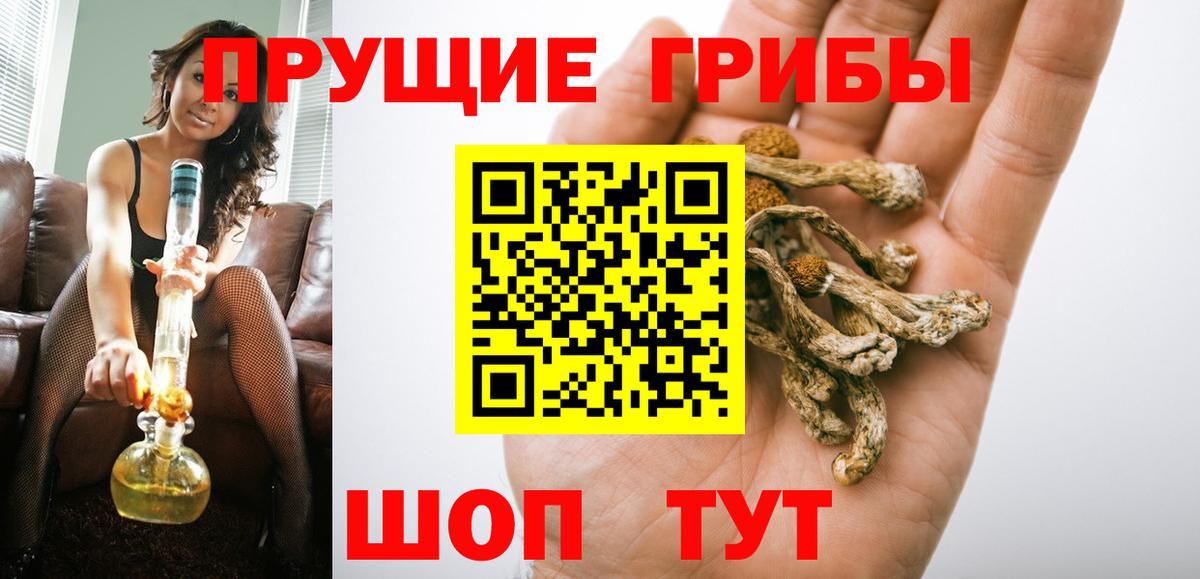 Псилоцибиновые грибы Cubensis Ленинск-Кузнецкий
